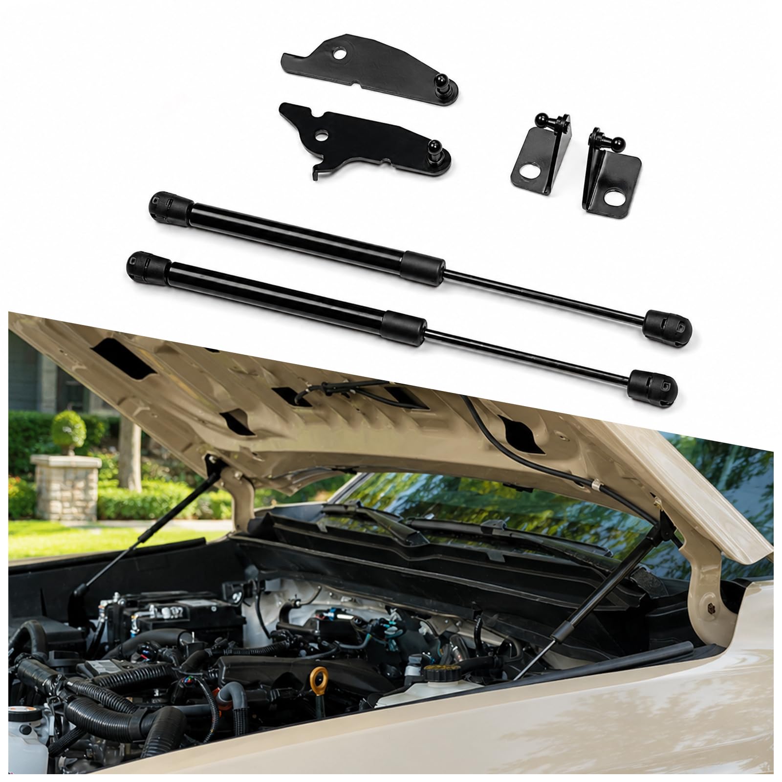Hood Struts for 2024–2026 Toyota Tacoma & 2025–2026 4Runner